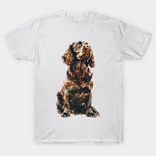 American Water Spaniel T-Shirt